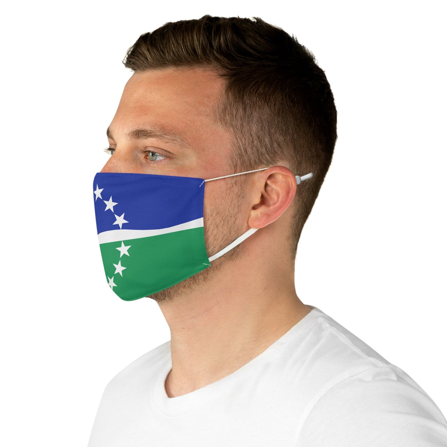 Hampton Roads Virginia Flag Fabric Face Mask