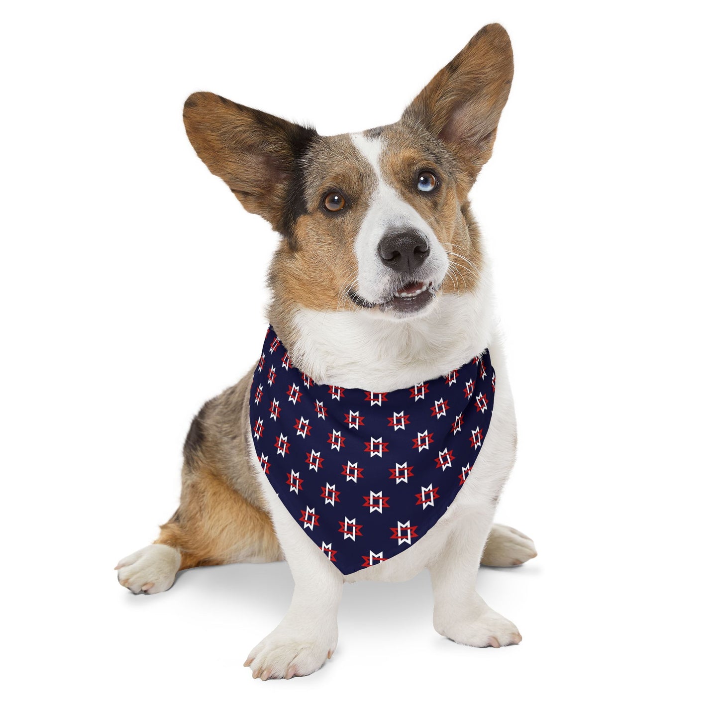 Dog Bandana Collar - Maryville Tennessee City Flag Pattern