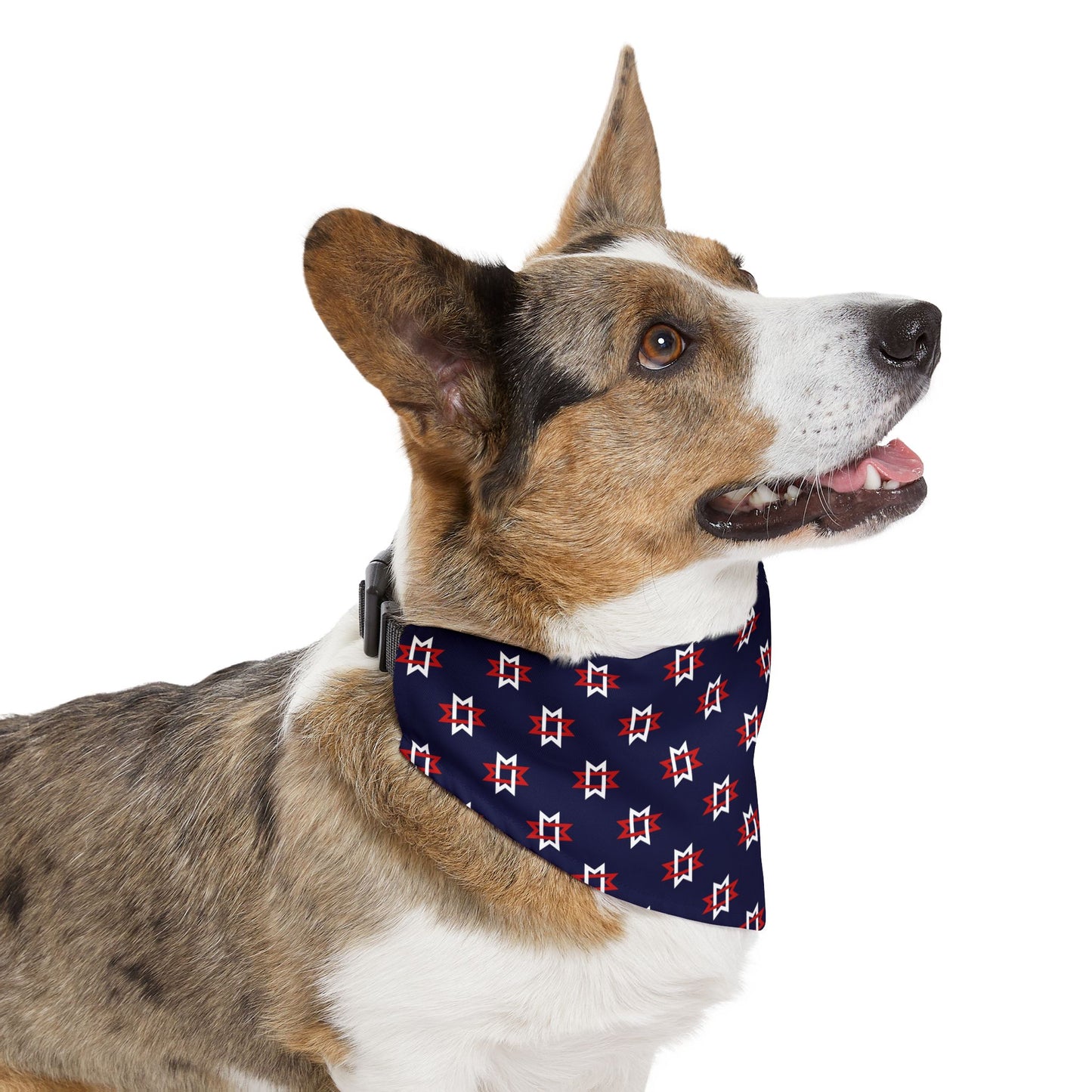 Dog Bandana Collar - Maryville Tennessee City Flag Pattern