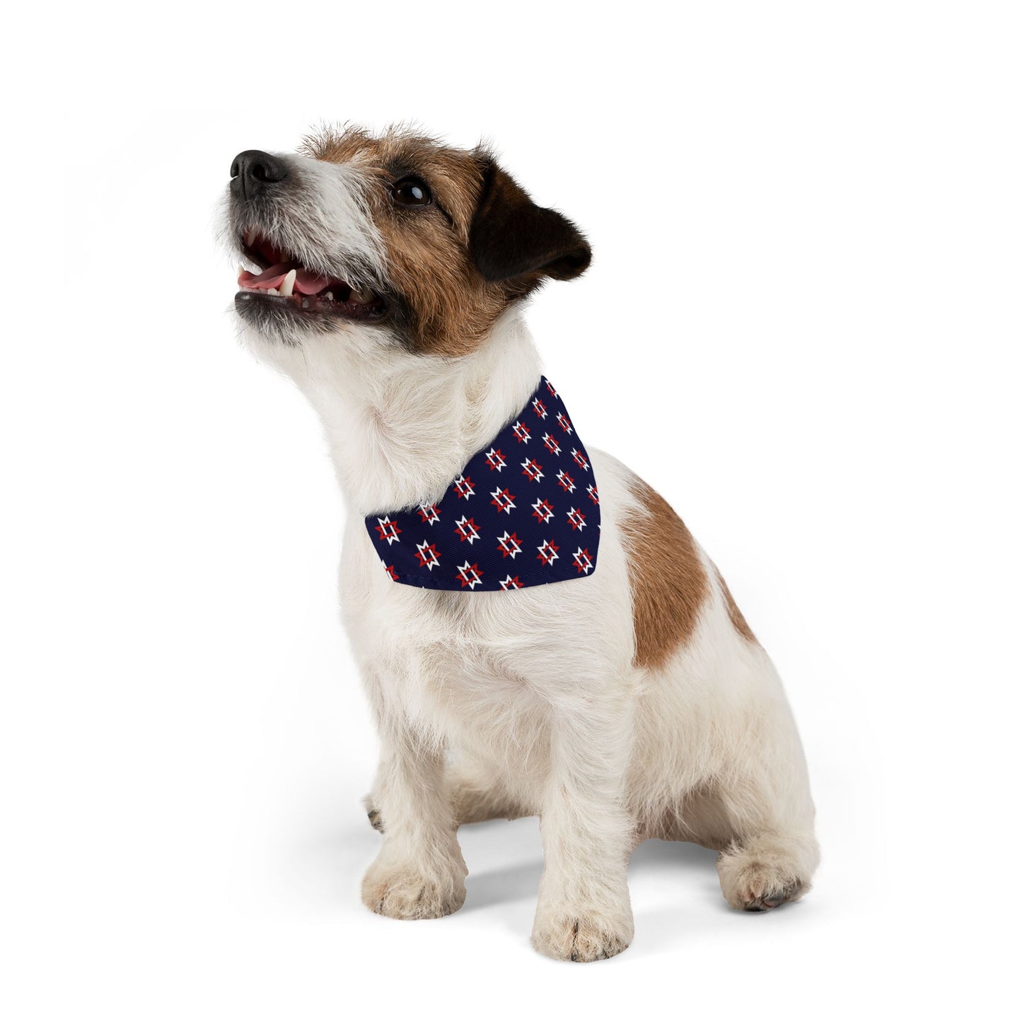 Dog Bandana Collar - Maryville Tennessee City Flag Pattern