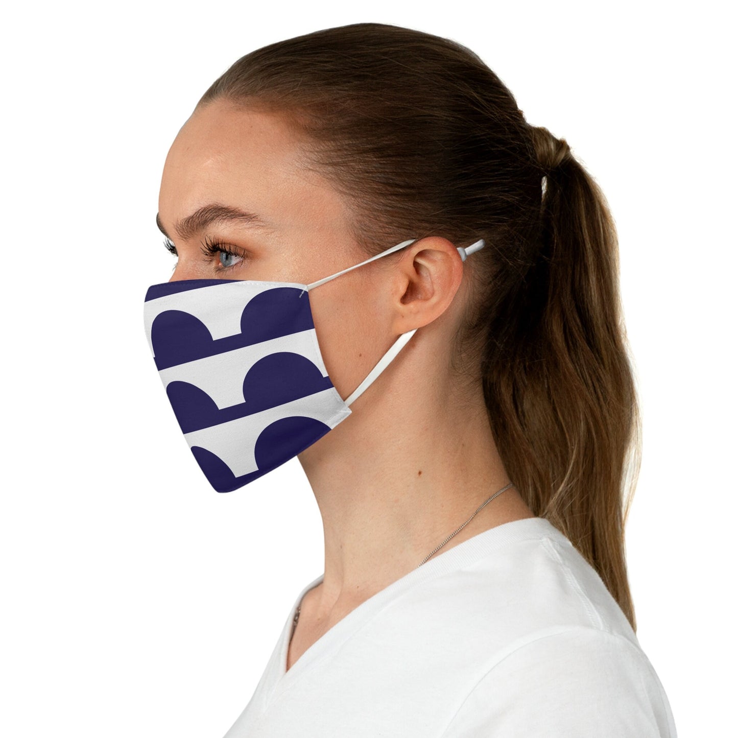 Des Moines Iowa City Flag Fabric Face Mask