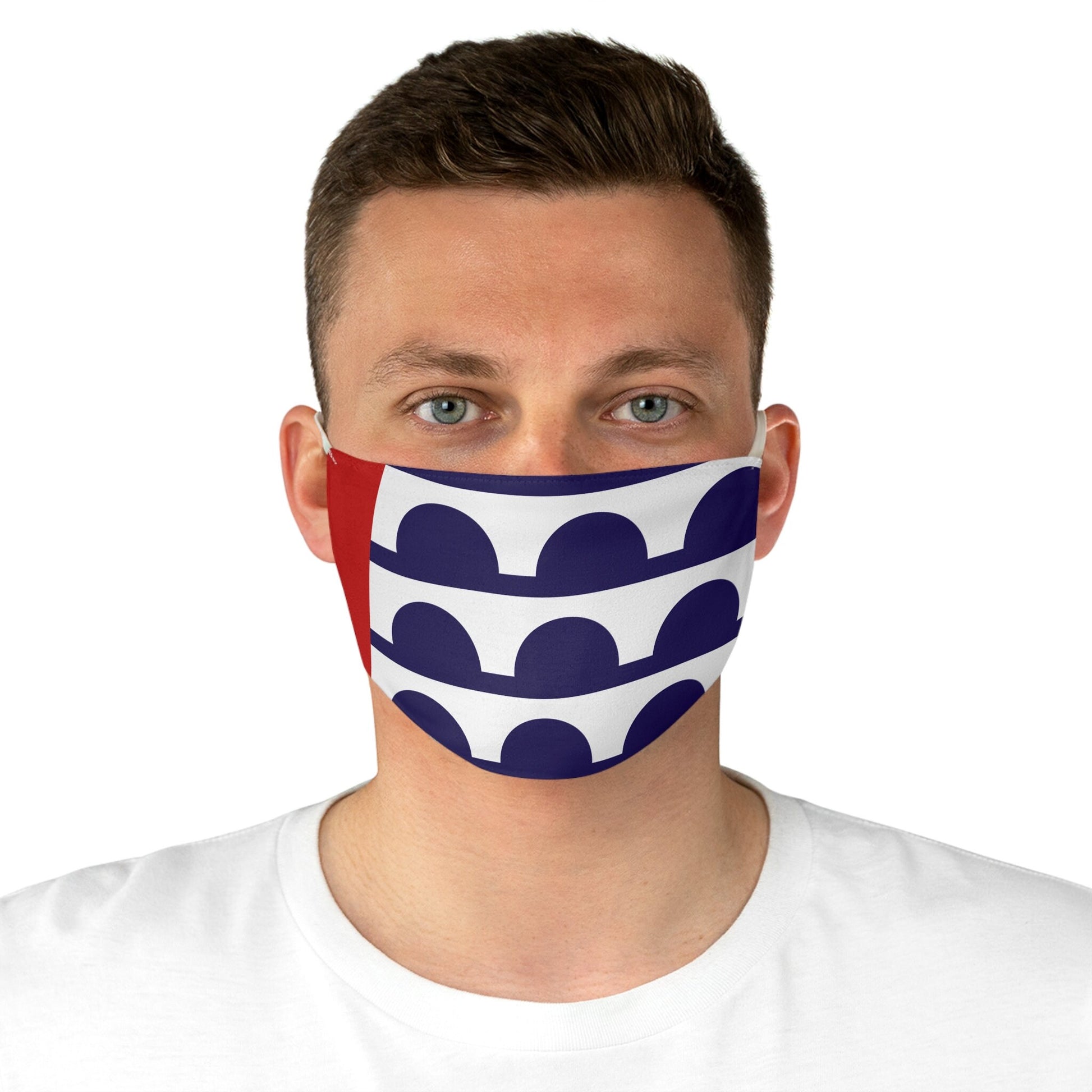 Des Moines Iowa City Flag Fabric Face Mask