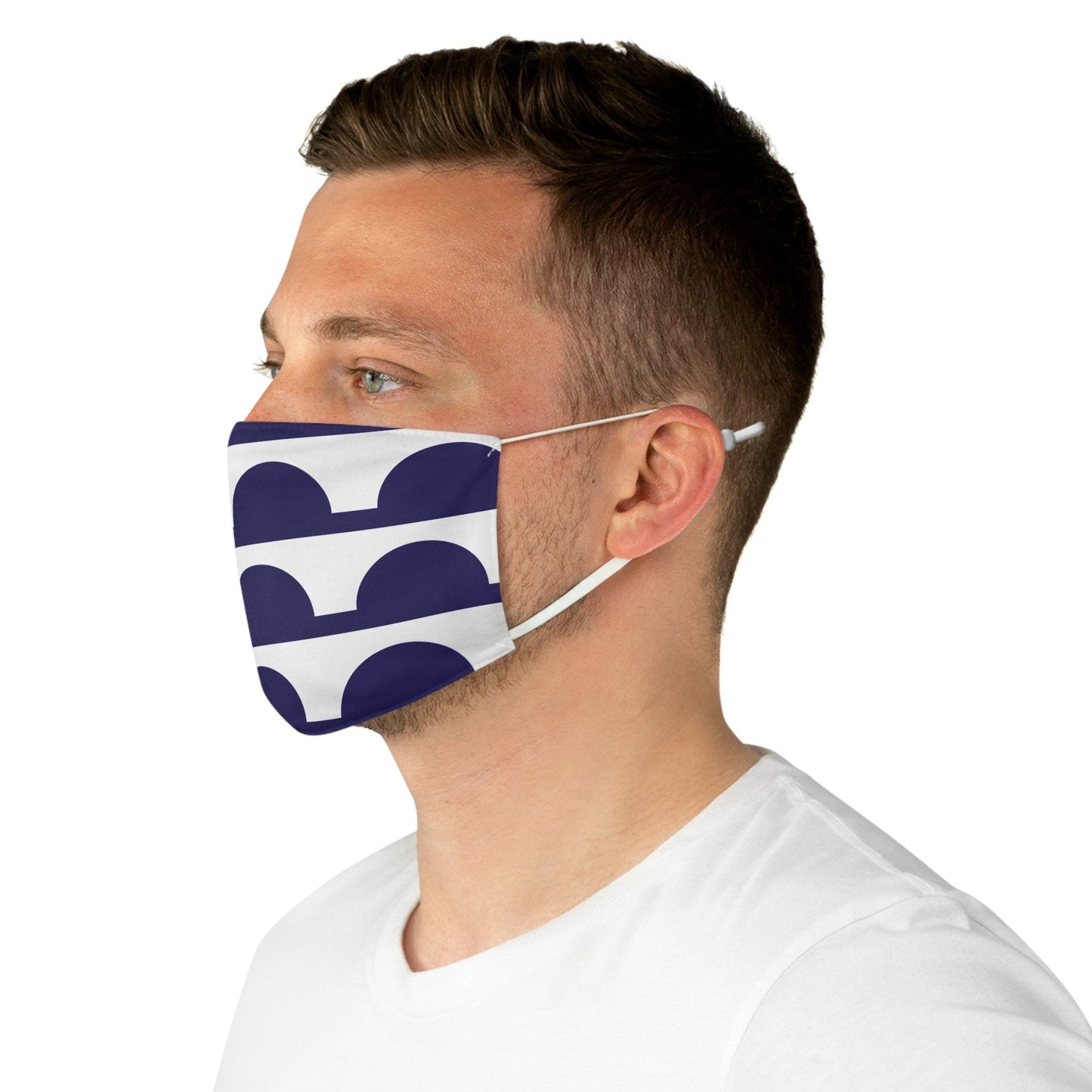 Des Moines Iowa City Flag Fabric Face Mask