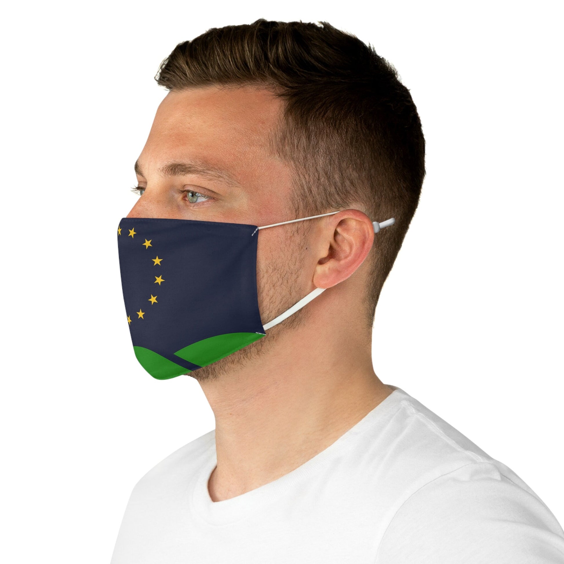 Montpelier Vermont Flag Fabric Face Mask