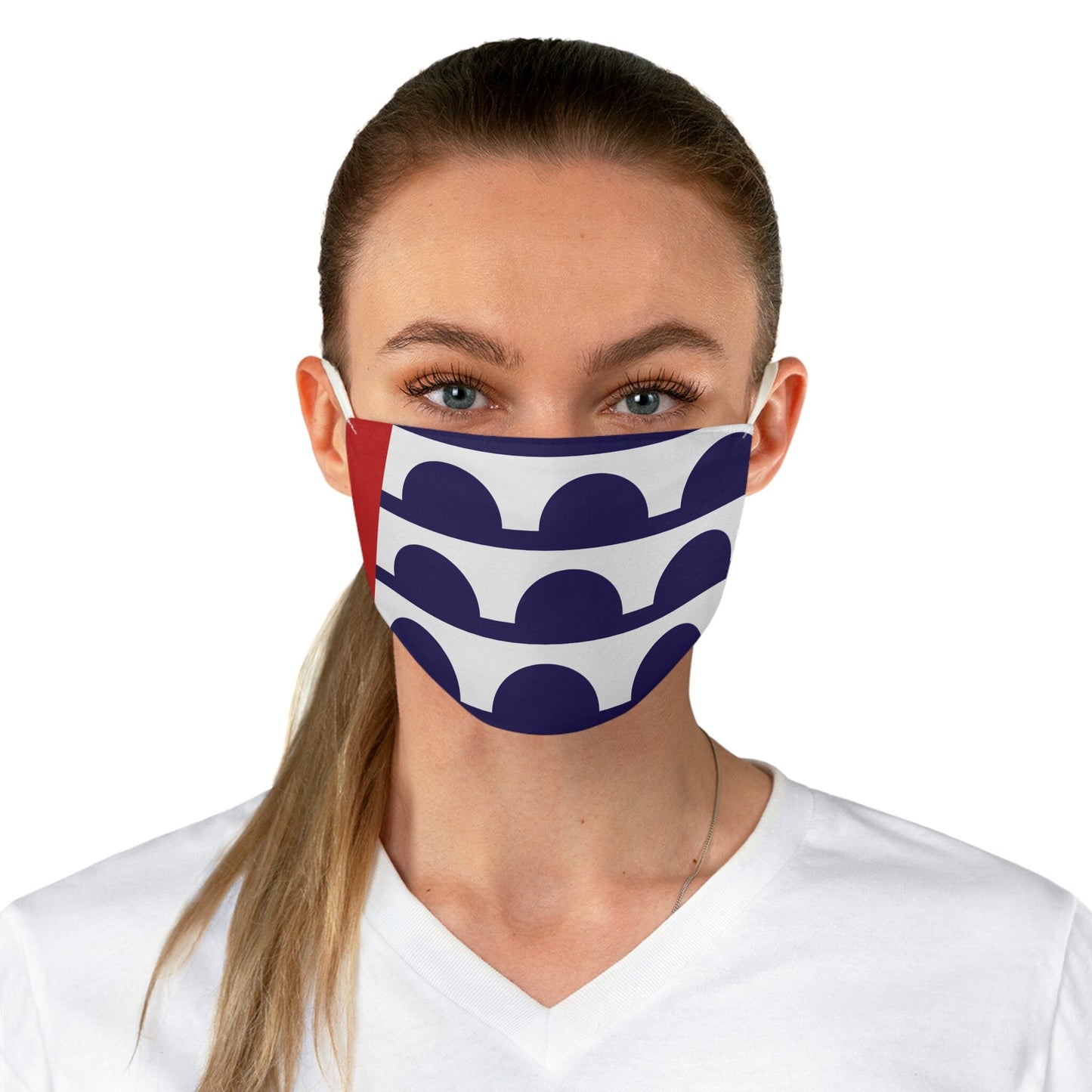 Des Moines Iowa City Flag Fabric Face Mask