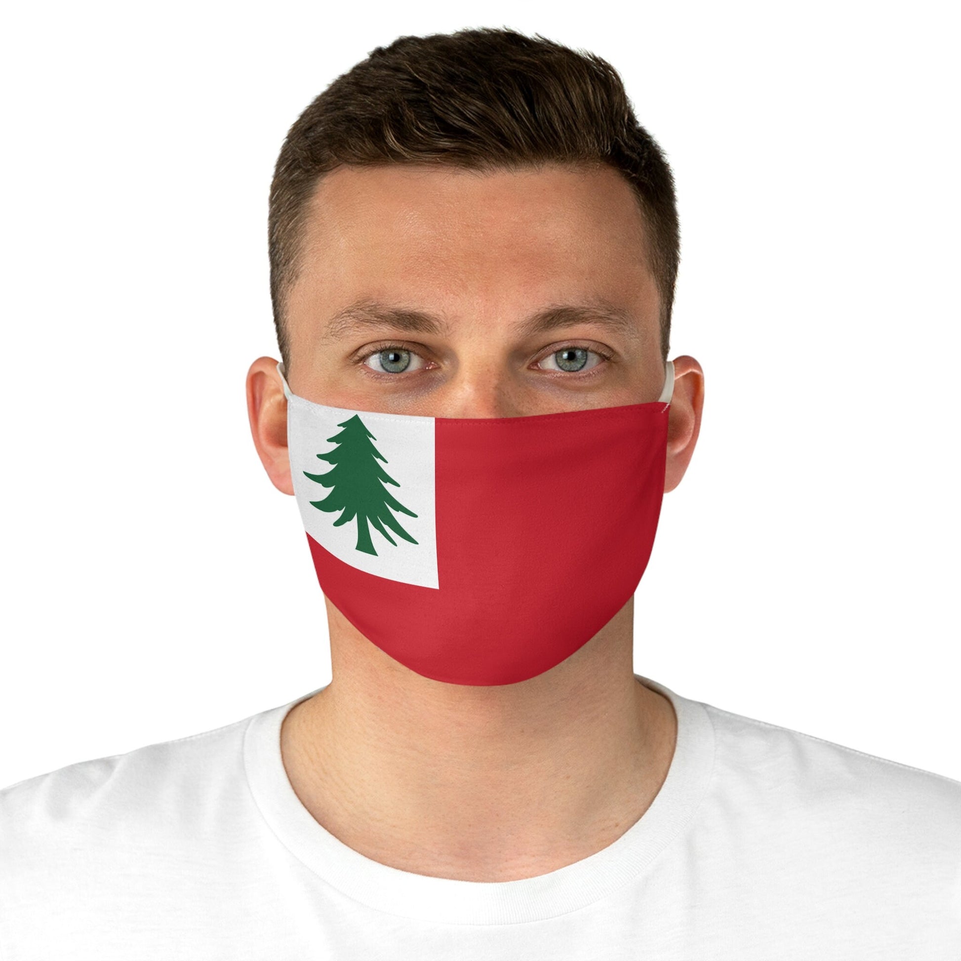 Ensign of New England Flag Fabric Face Mask