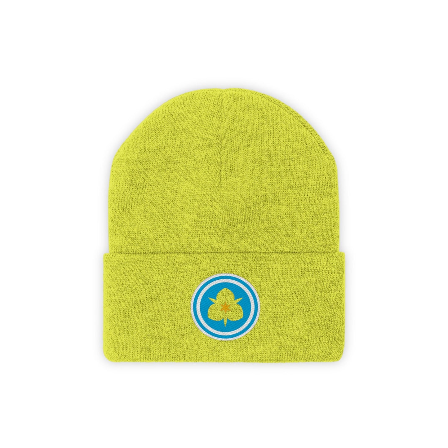 Salt Lake City Utah city flag Knit Beanie