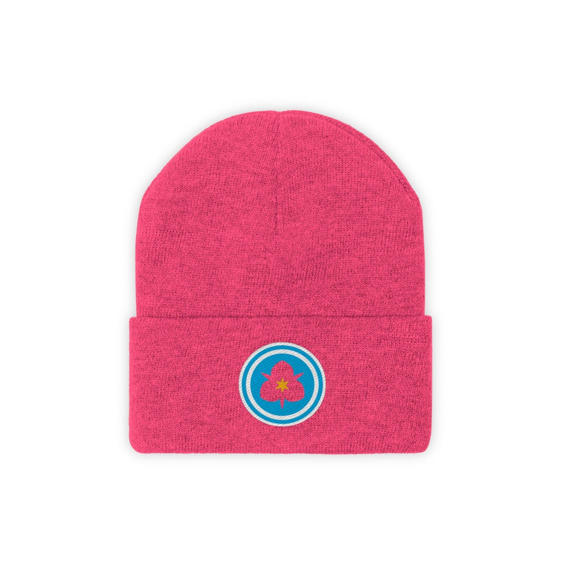 Salt Lake City Utah city flag Knit Beanie